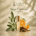 Sage Current